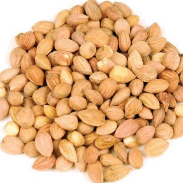 محلب
